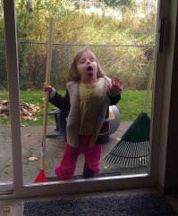 Умиления пост или про животных, которые просто облизали стекло