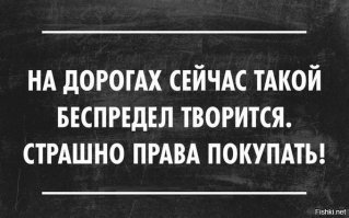 Курица с коляской 