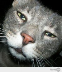 спс за доброту. мало ее сейчас, очень мало