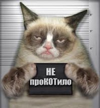 Голубиная доставка в тюрьму