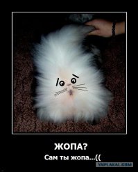 Обнаженная беременная Ким Кардашьян