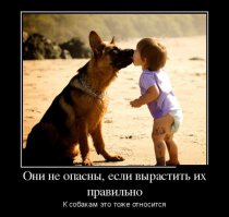 А у сОбака на шее-то "строгач" однако...