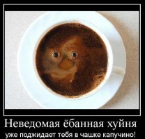 16 фото, которые подтвердят ваши худшие бытовые страхи