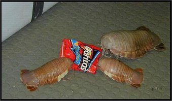 16 фото, которые подтвердят ваши худшие бытовые страхи