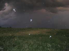 пара моих фото, лето 2007 без обработки :) ибо не умею...