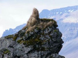 25 невероятно красивых и редких камней