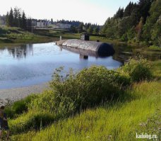 Фотоподборка за 17.08.2015