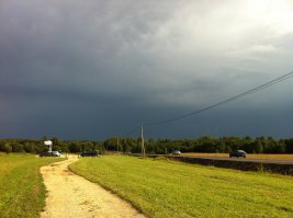 Сделано на телефон и без всякой обработки.