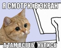 Почему мужчины живут меньше женщин?