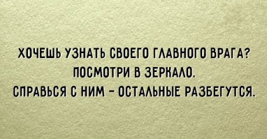 Подошёл и посмотрел в зеркало, ни какого врага не нашёл, на меня смотрела довольная, знакомая морда. Наверное она то их и разогнала.:)