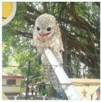 с какой планеты эти птицы???