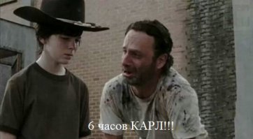 Кормовые продукты в торговых сетях