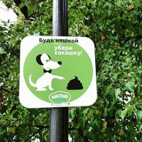 Собак сам нагадил, причем от души, и еще поучает подлец!