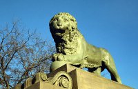 Пётр 1 - он же грёбанный плотник самозванец  очевидно не мог бояться тараканов, так как всю молодость в подсобках верфи прожил. Скорей всего ему жалко таракашка стало. Но после этого он уничтожил миллионы жителей земли, и самопровозгласил себя императором.