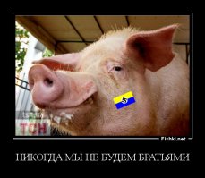 я думал, что там только такая скотина обитает