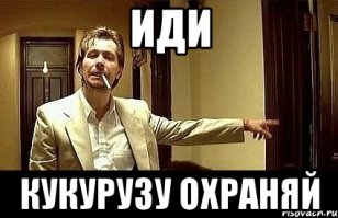 Кормовые продукты в торговых сетях