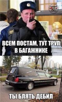 Подборка забавных заявлений и обращений в полицию (милицию)