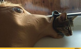 Красивый автобус