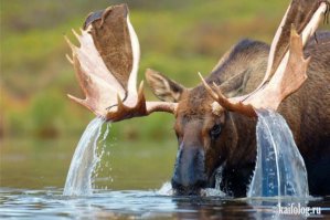 Коллекция эмоциональных снимков