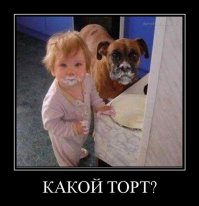 Вот так выглядят 5 минут тишины