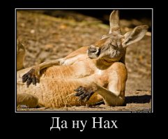 Как и где самые дорогие футболисты мира проводят свободное время