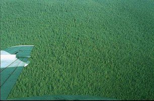 Построй,  делов-то.