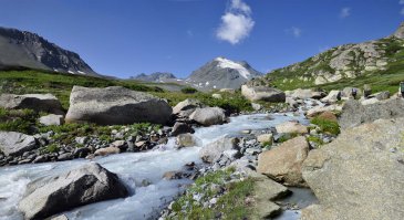 Построй,  делов-то.