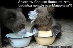 Фишкина солянка за 19.06.2014