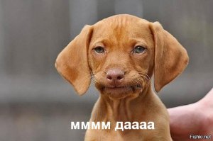 24 идеи для тех, кто не хочет, чтобы все знали об их татуировке 