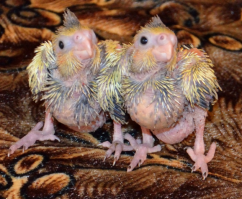 31 фотография для тех, у кого стресс