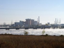 Видел только Южноукраинскую АЭС. Зимой вода в водоеме всегда парит. Говорят сомы там водятся огромных размеров.