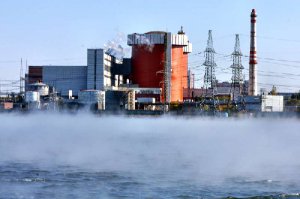 Видел только Южноукраинскую АЭС. Зимой вода в водоеме всегда парит. Говорят сомы там водятся огромных размеров.