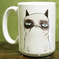 — Блииин... Ленка!!!!!!!!! Нахера ты мою кружку вымыла??
— Я что, уничтожила цивилизацию, которая считала тебя верховным правителем?