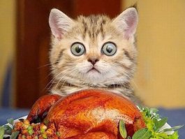 Как не понравилось?! И что же теперь нам делать?!