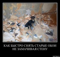 28 веселых фото из серии «немного психанул»