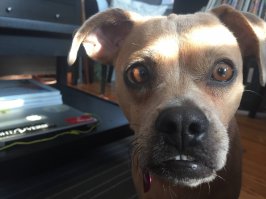 Вот ещё душевный чувакскажь