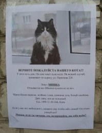 Улыбаемся и пашем! 15 записок от коллег с отличным чувством юмора 