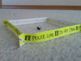 Стих про муху . Впечатлило !