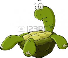 "За хорошую еду вверх тормашками пойду" или как животные просят поесть