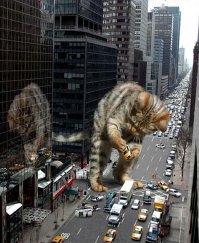 гигантский лев на улицах Москвы, говорите?
а это его младший родственник :)