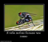 Подборка демотиваторов, которые поднимут вам настроение!