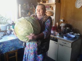 А ты попробуй такое вырастить......