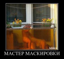 Немного демотиваторов