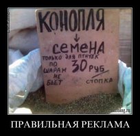 Немного демотиваторов