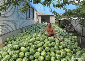 Убрал урожай с огорода))