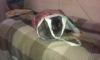 Моё ЧУДОВИЩЕ))