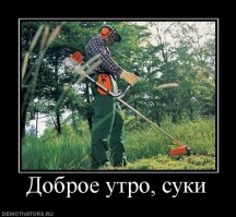 Лучшее средство проснуться xD
или... xD