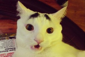 Эти люди считают, что у них красивые брови