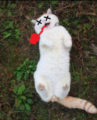 Подборка демотиваторов, которые поднимут вам настроение!