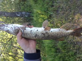 У меня все по проще было.